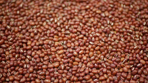 Adzuki beans plant detail, azuki red mung bean pulses healthy nutrition, superfood. China Himalayas is popular Asia shop store, red food, paste cuisine raw Vigna angularis, eaten raw bio organic