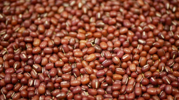 Detalhe da planta de feijão Adzuki, azuki feijão mungo vermelho pulsa nutrição saudável, superalimento. China Himalaia é popular Ásia loja, comida vermelha, pasta de cozinha crua Vigna angularis, comido bio orgânico cru — Fotografia de Stock