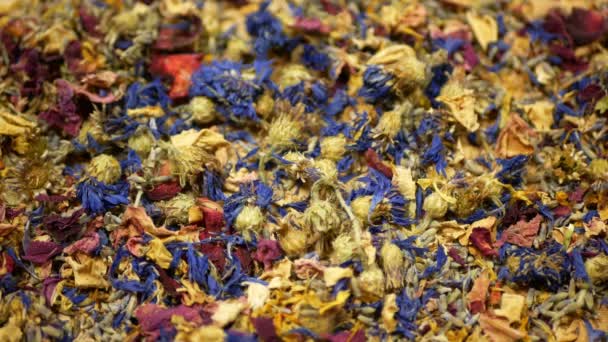 Травяной чай сухой смеси смеси розы, василька, гибискус, листья тимьяна лепестки и мать чая для высококачественного чая, а также декоративные. традиционная народная медицина, неспокойные болезни — стоковое видео