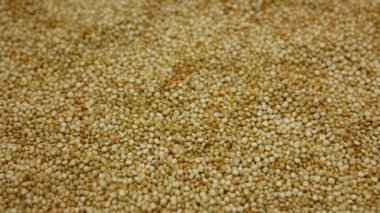 Quinoa Chenopodium quinoa tohumları süper yiyecek ayrıntıları yakın plan biyoorganik, meyve bitkisi vejetaryen beslenme için uygun tahıl, vejetaryenler mağaza tahılları, Peru Bolivya mutfağı, glütensiz