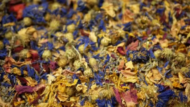 Herbata ziołowa suszona mieszanka róż, kwiatów kukurydzy, hibiskusa, płatków liści tymianku i matki herbaty na wysokiej jakości herbaty, jak również dekoracyjne. tradycyjna medycyna ludowa, choroby stresujące — Wideo stockowe