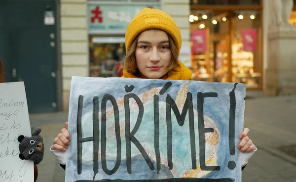 Brno, Tsjechië, 10 januari 2019: Vrijdag voor de toekomst, demonstratie tegen klimaatverandering bosbranden branders Australië, spandoek gebrandmerkt Burning, menigte jongeren studenten middelbare school — Stockfoto