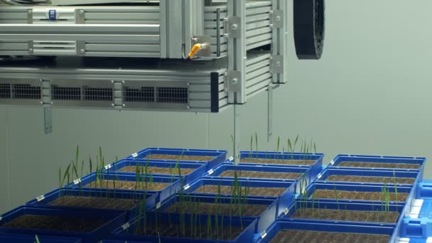 OLOMOUC, CZECH REPUBLIC, APRIL 11, 2018: Phenotyping line robotic automatic for scientific research measurement system technology of photosynthesis, chlorophyll, phenotype experimental — 비디오