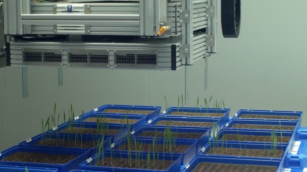 OLOMOUC, RÉPUBLIQUE TCHÈQUE, 11 AVRIL 2018 : Ligne de phénotypage robotique automatique pour la recherche scientifique technologie de système de mesure de la photosynthèse, chlorophylle, phénotype expérimental — Video