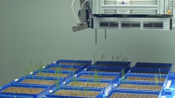 OLOMOUC, RÉPUBLIQUE TCHÈQUE, 11 AVRIL 2018 : Ligne de phénotypage robotique automatique pour la recherche scientifique technologie de système de mesure de la photosynthèse, chlorophylle, phénotype expérimental — Video