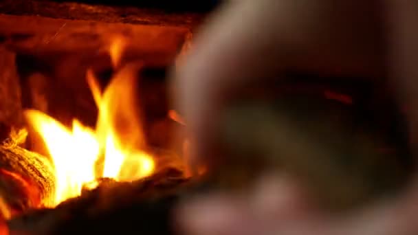 Räucherei ist ein Feuer in Ofen und Ofen aus Buchen- und Eschenholz. Schöne rote Flammen qualmen. Kaminofen aus Stein und Beton, traditioneller volkstümlicher Bau — Stockvideo