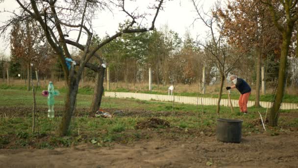 OLOMOUC, TSJECHIË, 21 maart 2020: Gezichtsmasker coronavirus risico covid-19 sjaal sjaal tuinieren schoffelen aardbei onkruid, zorg tuinmensen, schoffel graven senior vrouw gepensioneerde — Stockvideo