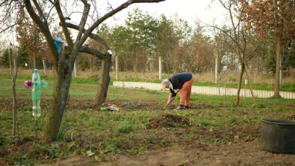 OLOMOUC, REPÚBLICA CHECA, MARÇO 21, 2020: máscara facial coronavírus risco covid-19 cachecol xale jardinagem enxada ervas daninhas de morango, jardim de cuidados, enxada cavar mulher idosa aposentada mulher — Vídeo de Stock