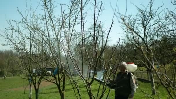 OLOMOUC, REPÚBLICA CHECA, 21 DE MARÇO DE 2020: Pesticida químico e inseticida pulverizador de ameixa Prunus em brotos e folhas pomar jardim contra fungos e insetos, especialmente larva destrói — Vídeo de Stock