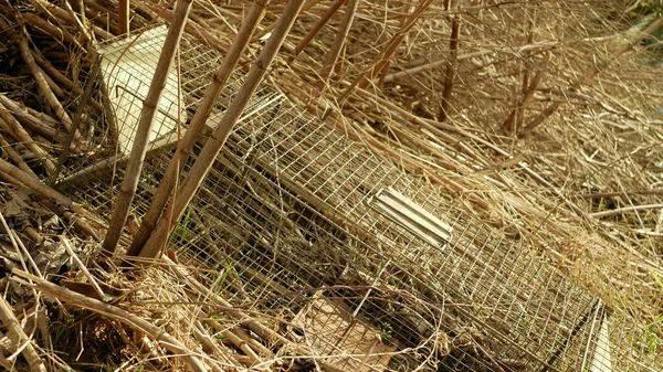 Trap Cage European Beaver Bushes River Bank Illegal Law Hunting — Stock Photo, Image