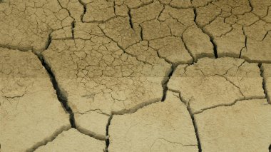 Toprağı kurutan kuraklık, bataklık ve gölet. Toprak kabuğunu çatlatan toprak iklim değişikliği, çevresel felaket ve toprak çatırdaması. Bitkiler ve hayvanlar için ölüm.