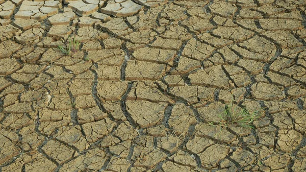 Humedal Sequía Pantano Estanque Secando Suelo Corteza Agrietada Cambio Climático — Foto de Stock