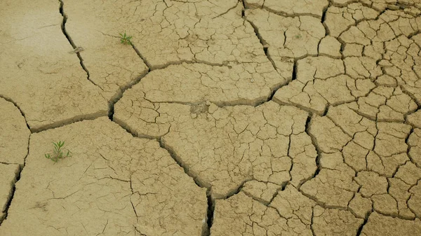 습지대 토양을 건조시키고 갈라진 지구의 동물의 토양의 재앙의 — 스톡 사진