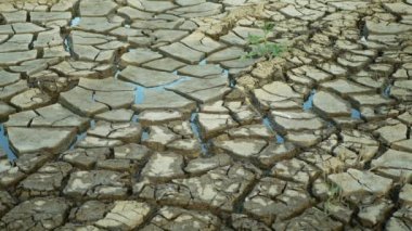 Kuraklık, gölet sulak alanını çatlatmış, bataklığı çok kurutmuş toprak kabuğunu toprak kabuğunu iklim değişikliğini, çevresel felaketi yeryüzü çatlamış, bitkiler ve hayvanlar için ölüm, toprak kuru bataklık.