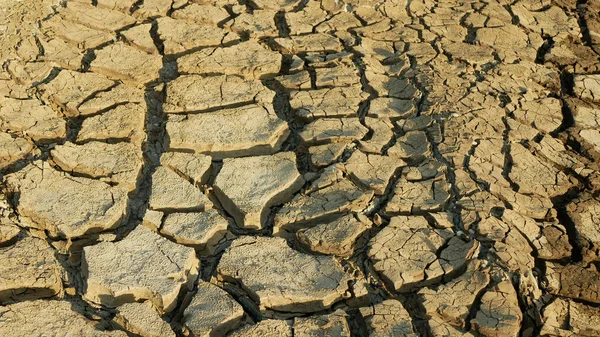 Very drought wetland, swamp and pond drying up the soil cracked crust earth climate change, surface extreme heat wave caused crisis, environmental disaster earth cracks, death for plants and animals, soil dry degradation, lack of water, common specie