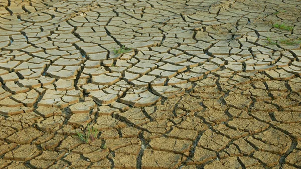 Humedal Muy Sequía Pantano Estanque Secando Suelo Corteza Agrietada Cambio — Foto de Stock