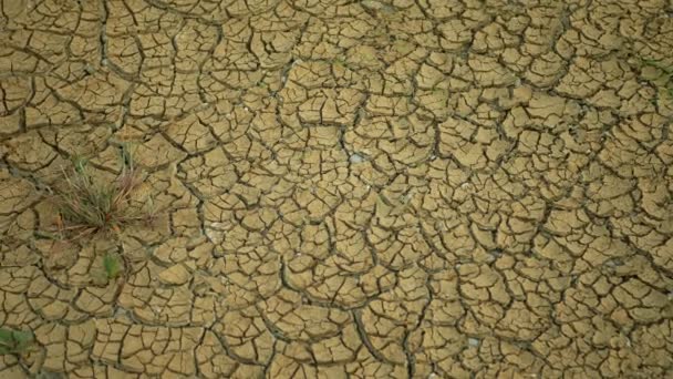 Torka spruckna dammen våtmark, träsk mycket torka upp jordskorpan jorden klimatförändringar, miljökatastrof och jordskorpor mycket, död för växter och djur, jord torr nedbrytning kärr — Stockvideo