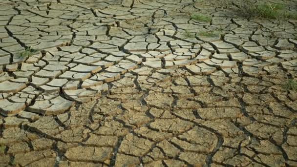 Susza pękła jezioro staw mokradła gliny suszenia skorupy gleby zmiany klimatu, katastrofa środowiskowa ziemi pęknięcia bardzo, śmierć dla roślin i zwierząt, suche gleby bagna degradacji — Wideo stockowe