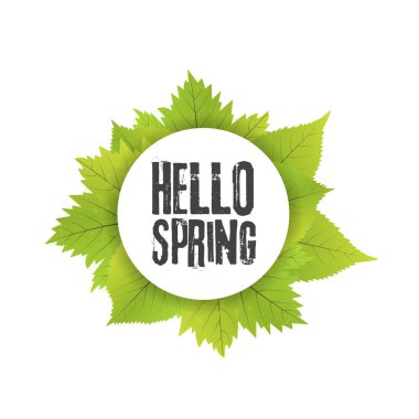 Merhaba bahar. Elle çizilmiş harfleri ile yazı. Çerçeve vektör çizim ile yeşil yaprakları ile etiket ve afiş şablon.