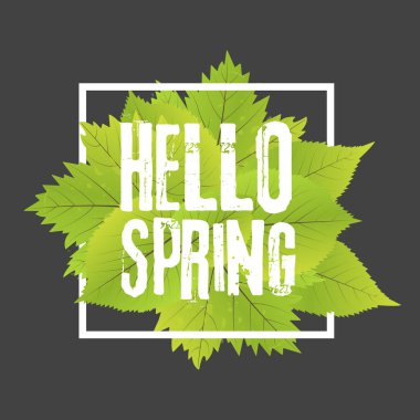 Merhaba bahar. Elle çizilmiş harfleri ile yazı. Çerçeve vektör çizim ile yeşil yaprakları ile etiket ve afiş şablon.