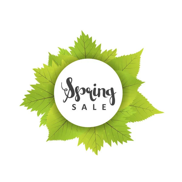 Cartel de venta de primavera con hoja verde. Banner vectorial Plantilla Ilustración — Archivo Imágenes Vectoriales