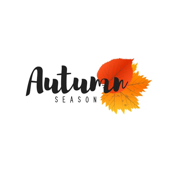 Autumn new season of sales and discounts, deals and offer. Label and banner template with yellow red leaves — Stock Vector