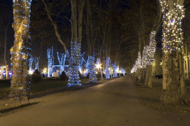     Advent zamanında Park Zrinjevac Zagreb 