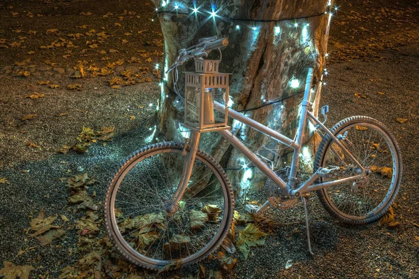 Fahrrad, Baum, Lichter und Weihnachten — Stockfoto