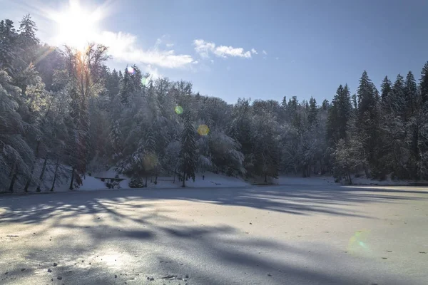 Paisagem de uma floresta em inverno — Fotografia de Stock