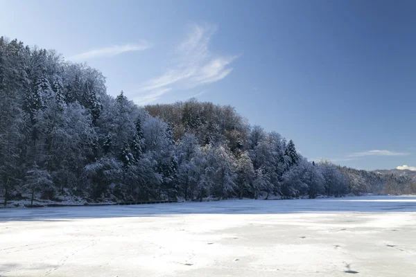 Paisagem de uma floresta em inverno — Fotografia de Stock