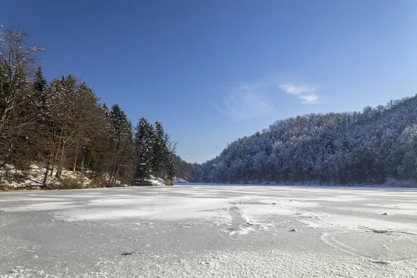 Télen erdő tájképe — Stock Fotó