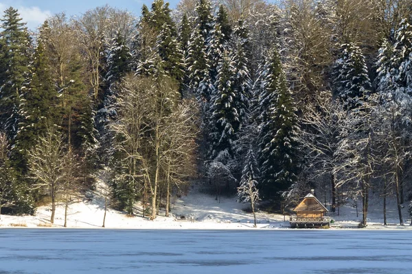 Haus am zugefrorenen See im Winter — Stockfoto