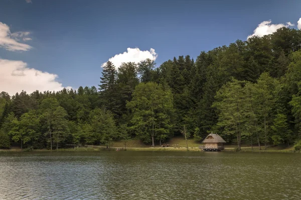 湖的房子景观 — 图库照片