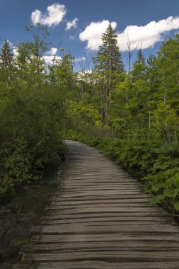 Plitvice Gölleri ahşap yolda