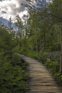 Plitvice Gölleri ahşap yolda