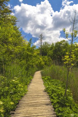 Plitvice Gölleri ahşap yolda