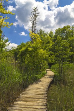 Plitvice Gölleri ahşap yolda