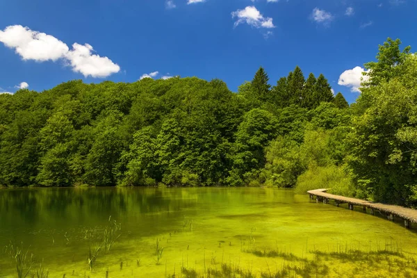Holzpfad auf Plitvicer Seen — Stockfoto