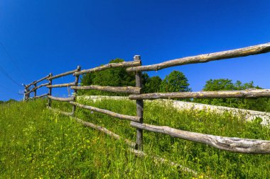 Yaz aylarında kayak merkezi