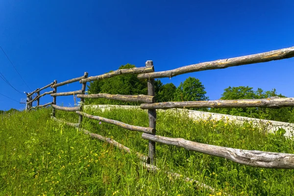Yaz aylarında kayak merkezi