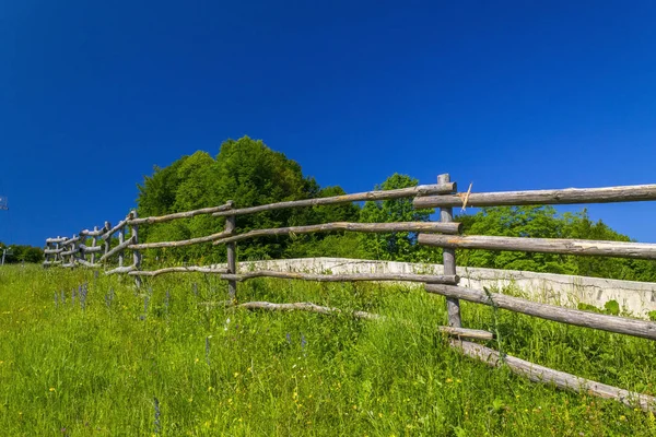 Yaz aylarında kayak merkezi