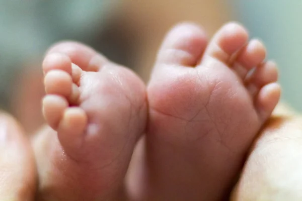 Small Baby feet — Stock Photo, Image