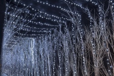 Advent Zagreb, Hırvatistan