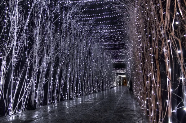 Advent Zagreb, Hırvatistan