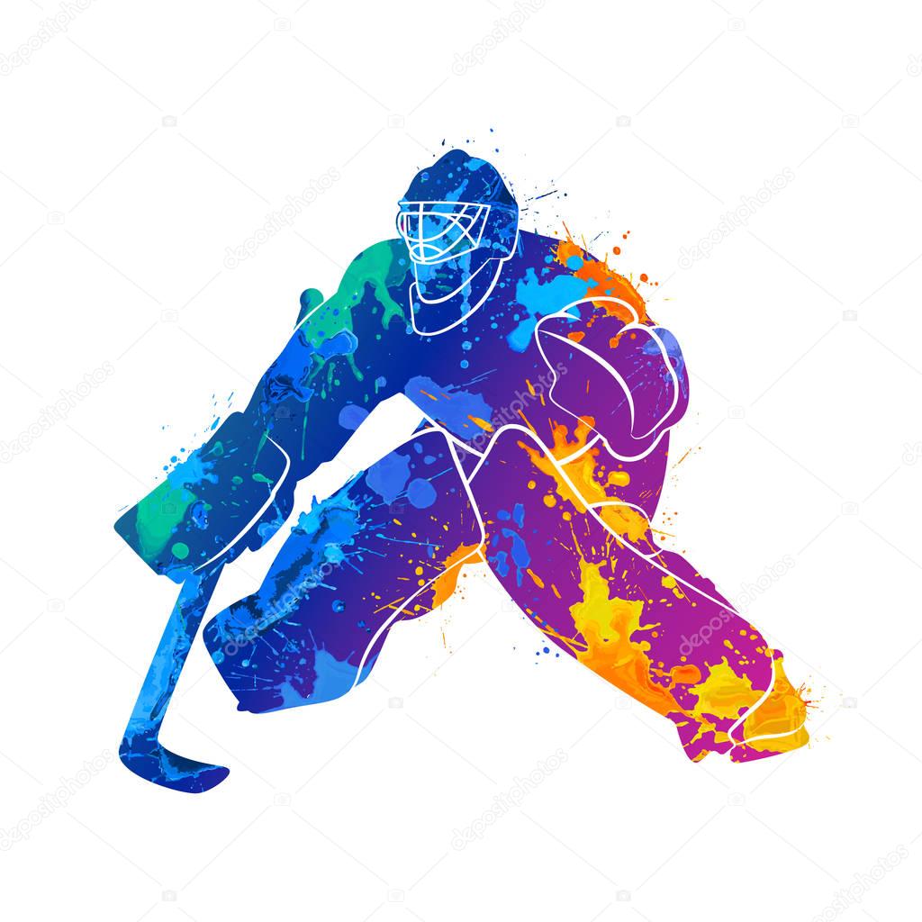 player hockey goalie