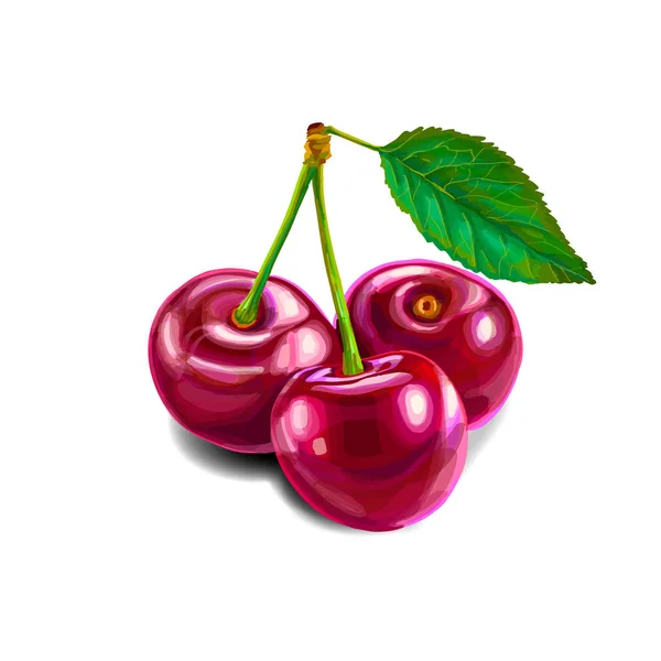 Vişneli tatlı meyve — Stok Vektör