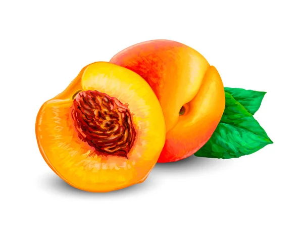 Fruta de melocotón entera — Vector de stock
