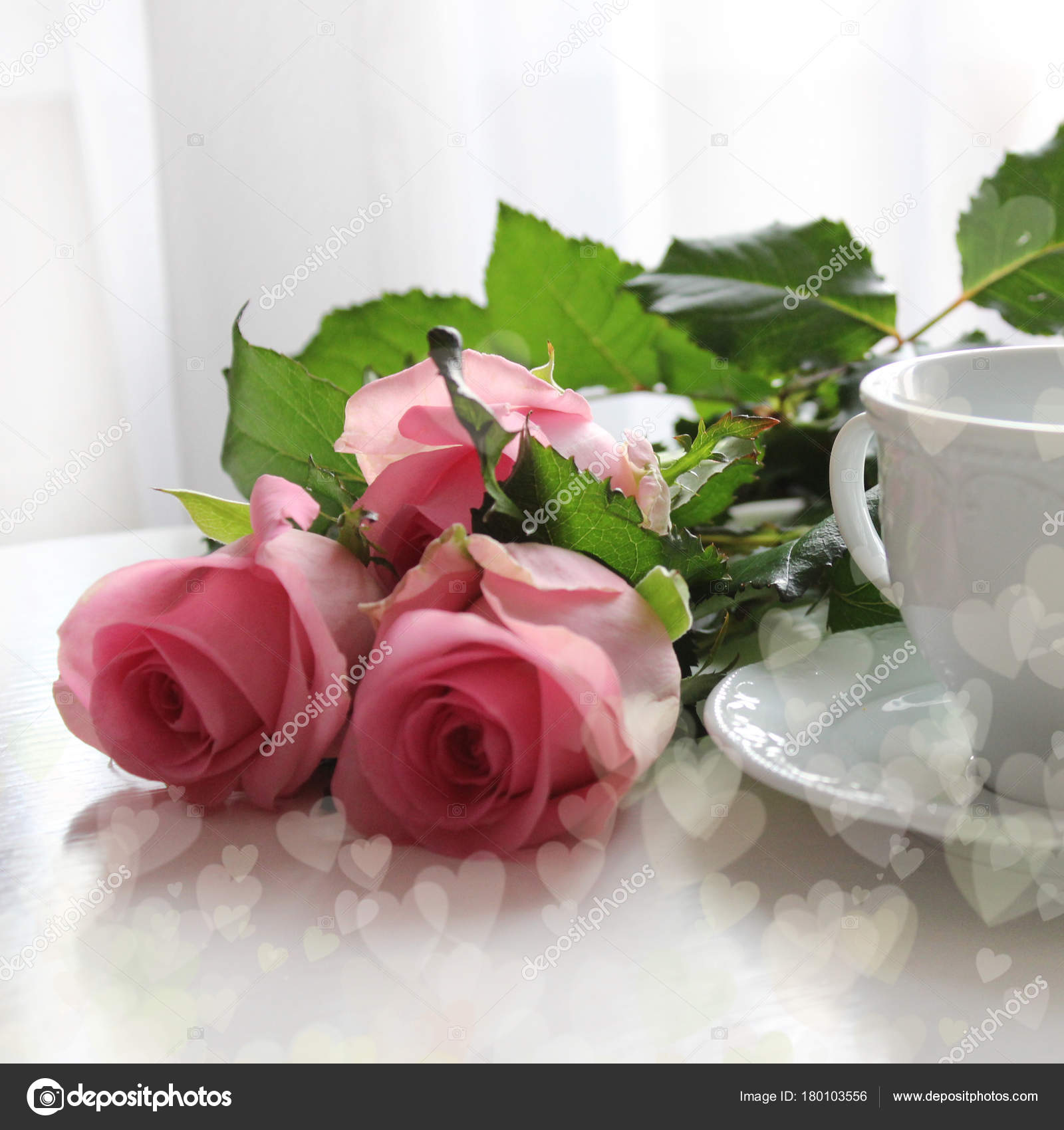 Pictures Good Morning Roses Pink Roses And White Cup Of Tea