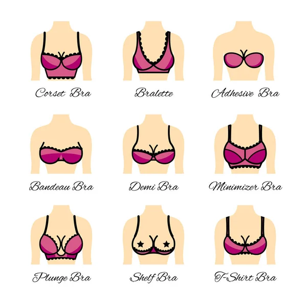 Kinds of bras. Icon tipes of bra. — Stock Vector