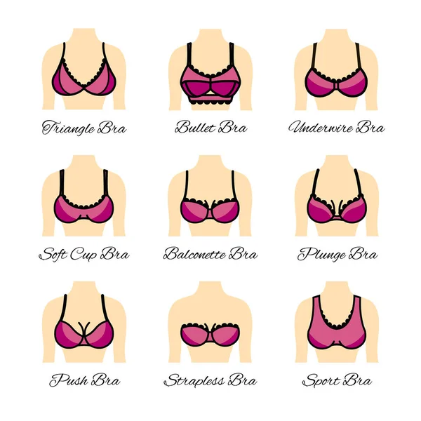 Tipi iconici di reggiseno. Tipi di reggiseni — Vettoriale Stock